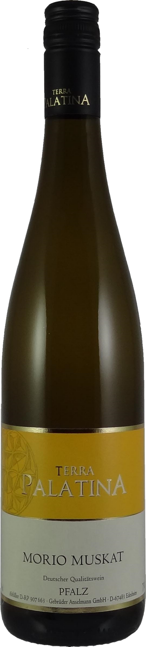 Terra Palatina Morio Muskat 2021 Pfalz 750ml